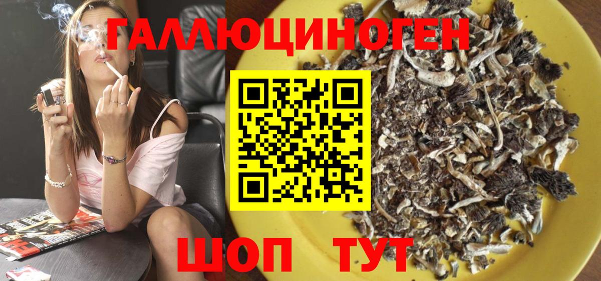 Петропавловск-Камчатский  Псилоцибиновые грибы Magic Shrooms  Вход с VPN 